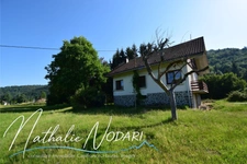 Maison avec terrain arboré de 2 200 m² à Fresse-sur-Moselle