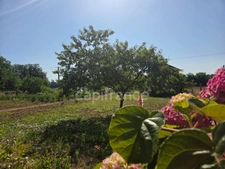 Vue panoramique et Fort potentiel d'Aménagement