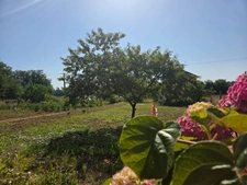Vue panoramique et Fort potentiel d'Aménagement