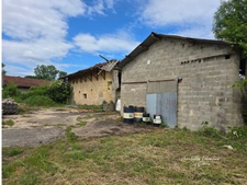 Ancienne Ferme Bressane de Caractère