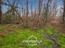 Sarthe department (72), for sale in LA CHAPELLE GAUGAIN, 8-room house of 208 m² - Land over 2 hectares