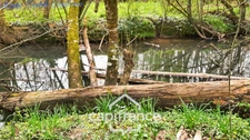 Sarthe department (72), for sale in LA CHAPELLE GAUGAIN, 8-room house of 208 m² - Land over 2 hectares