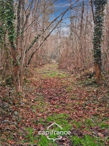 Sarthe department (72), for sale in LA CHAPELLE GAUGAIN, 8-room house of 208 m² - Land over 2 hectares