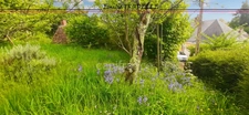 Authentic house for sale 4 rooms PONCE SUR LE LOIR (72) land 537m²