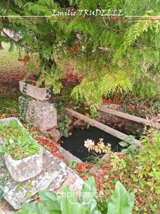 House for sale, 6 rooms, 138m², TORCE EN VALLEE (72) - 3/4 bedrooms + apartment, pond, pool on landscaped grounds of 8500m²