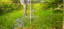 Authentic house for sale 4 rooms PONCE SUR LE LOIR (72) land 537m²