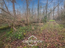 Sarthe department (72), for sale in LA CHAPELLE GAUGAIN, 8-room house of 208 m² - Land over 2 hectares