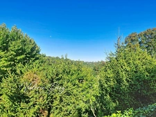 VIAGER OCCUPÉ – MÉNERBES – MAISON DE CARACTÈRE AVEC VUE SUR LE LUBERON