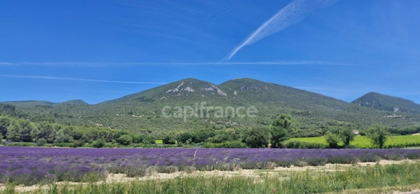 Investissement patrimonial au coeur d'un site naturel exceptionnel du Luberon !