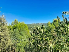 VENTE À TERME OCCUPÉE – Maison individuelle avec vue panoramique sur le Luberon – Apt
