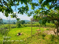 À Vendre – Maison en Pierre, 130 m², 3 chambres avec Dépendance et Terrain – Proche Saint-Pierre-le-Vieux