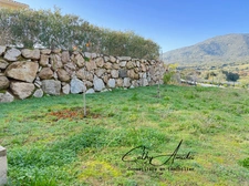 VIGGIANELLO (Corse) : Villa type T3 + appartement T2, grande terrasse, garage fermé et vaste atelier, proche plages et centre-ville