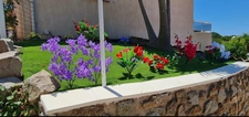 PORTICCIO (Corse) Maison T3 + T2 vue mer, avec jardin, terrasse, parking 