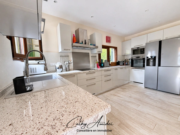 SERRIERA (Corse) - Golfe de Porto - A VENDRE, Maison rénovée, T5 + T3, terrasses, plage à 3Km