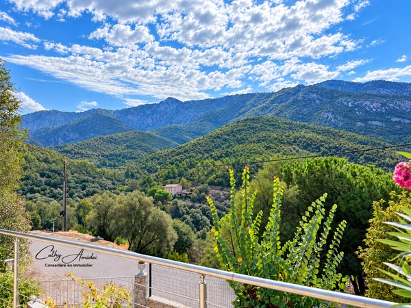 SERRIERA (Corse) - Golfe de Porto - A VENDRE, Maison rénovée, T5 + T3, terrasses, plage à 3Km