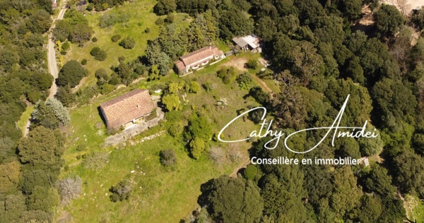 SAGONE (Corse) : Propriete à vendre, maison T4 + dépendance avec 2 appartements T1, sur terrain plat de 5000m2