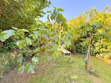 GUAGNO (Corse) : A vendre, maison en pierres avec dépendance, jardin, vue dégagée