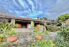 SAGONE (Corse) : Propriete à vendre, maison T4 + dépendance avec 2 appartements T1, sur terrain plat de 5000m2