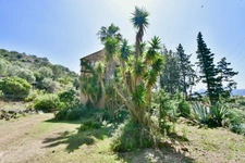 Dpt Corse (20) OSANI - Golfe de Porto, à vendre bâtiment de 920m2 à 3KM de la plage, grand terrain avec parking