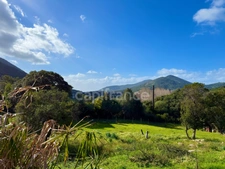 SAGONE (Corse) : Propriete à vendre, maison T4 + dépendance avec 2 appartements T1, sur terrain plat de 5000m2