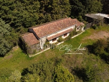 SAGONE (Corse) : Propriete à vendre, maison T4 + dépendance avec 2 appartements T1, sur terrain plat de 5000m2