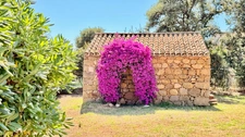 ECCICA-SUARELLA (Corse) : Maison T4, caseddu en pierre, garage, terrain piscinable, vue dégagée
