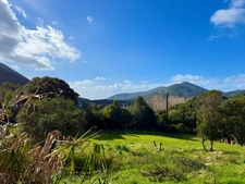 SAGONE (Corse) : Propriete à vendre, maison T4 + dépendance avec 2 appartements T1, sur terrain plat de 5000m2