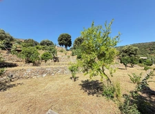 CORSE (20) commune d'ALATA : A vendre magnifique terrain à bâtir, viabilisé