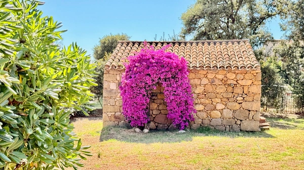 ECCICA-SUARELLA (Corse) : Maison T4, caseddu en pierre, garage, terrain piscinable, vue dégagée