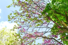 GREZIEU LA VARENNE plateau appartement T3 de 63,59 m² avec jardin de 86.41 m² avec 2 stationnements 