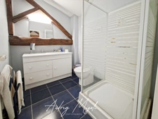 Propriété en pierre 8 pièces, 5 chambres, dépendances, piscine, terrain 7800m²