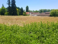 Terrain à vendre de 2 099,00 m² MALAUSE (82)