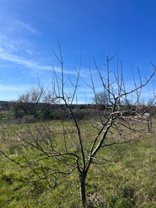 Terrain de loisirs de 2600m² à vendre à COLLIAS (30) - Environnement naturel privilégié