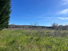 Terrain de loisirs de 2600m² à vendre à COLLIAS (30) - Environnement naturel privilégié