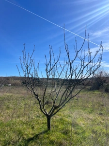 Terrain de loisirs de 2600m² à vendre à COLLIAS (30) - Environnement naturel privilégié