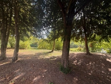 Maison à vendre 5 pièces VAUX SUR SEINE (78) - garage - dépendances - jardin - cuisine d'été