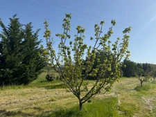 Terrain de loisirs de 2600m² à vendre à COLLIAS (30) - Environnement naturel privilégié