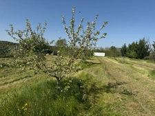 Terrain de loisirs de 2600m² à vendre à COLLIAS (30) - Environnement naturel privilégié