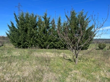 Terrain de loisirs de 2600m² à vendre à COLLIAS (30) - Environnement naturel privilégié