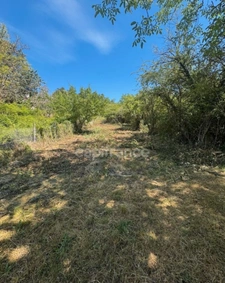 Terrain à vendre  VAUX (89)