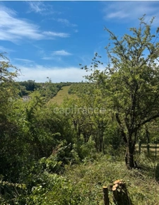 Terrain à vendre  VAUX (89)