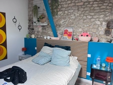 Maison à vendre avec chambres d'hôtes et activité rentable en place (17)