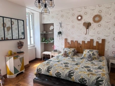 Maison à vendre avec chambres d'hôtes et activité rentable en place (17)