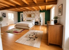 Maison à vendre avec chambres d'hôtes et activité rentable en place (17)