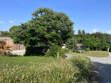 Maison à vendre 5 chambres BUSSAC SUR CHARENTE (17)