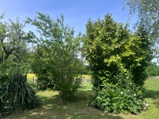 Maison à vendre 5 pièces VARZAY (17) avec piscine