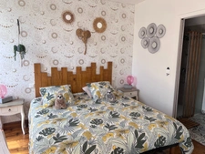 Maison à vendre avec chambres d'hôtes et activité rentable en place (17)