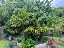 Maison à vendre 6 pièces SAINTES (17) et un appartement
