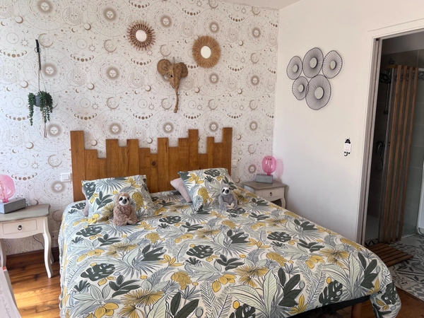 Maison à vendre avec chambres d'hôtes et activité rentable en place (17)