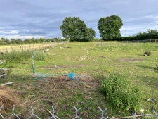 Maison à vendre 5 pièces GREZAC (17) 12 min de l'océan atlantique